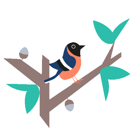 Flowers Bird Sticker by Close Parent