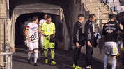 Lets Go Team GIF by SK Sturm Graz
