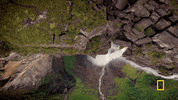 one strange rock GIF by National Geographic Channel