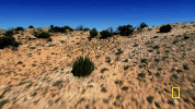one strange rock GIF by National Geographic Channel