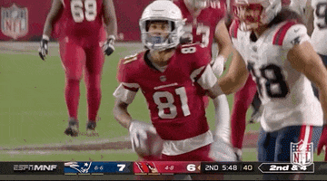 Arizona Cardinals Football GIF by NFL