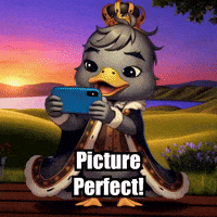 GIF by sirduckbeth