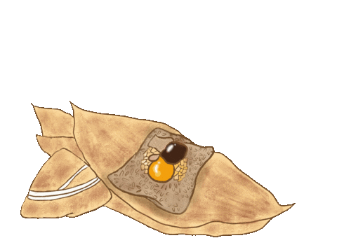 Wandapan0327 giphyupload wanda dumpling 粽子 Sticker