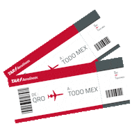 vuelatar contar historias Sticker by TAR Aerolíneas