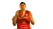 Game Basketball Sticker by FIBA