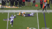 Celebration No GIF by Minnesota Vikings