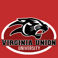 Terry Mcauliffe Vote GIF by Creative Courage