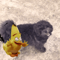 angry birds GIF by GIPHY CAM