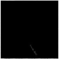 black and white football GIF by Daryl Alexsy