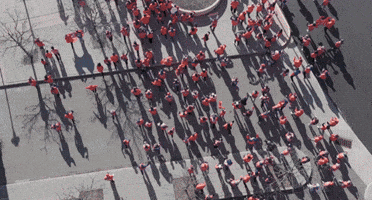 Ny Mets GIF by The 7 Line