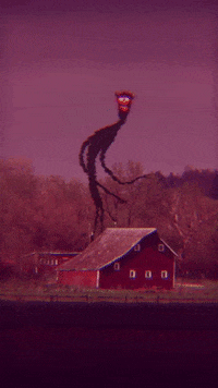 walkerdunnvisuals owl barn walkerdunnvisuals GIF