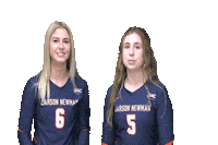 C-N Volleyball Sticker by Carson-Newman Athletics