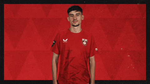 Fc Kaiserslautern Football GIF by Bundesliga