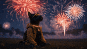 Independence Day Dog GIF by Terry Toto