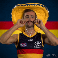 jordan gallucci afl GIF by Adelaide Crows