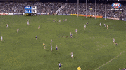 justin longmuir GIF by AFL