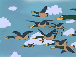 GIF by Lolita