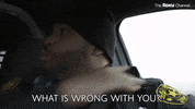 Dave Franco GIF by The Roku Channel