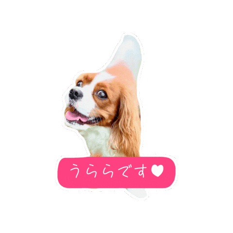 Morning Cavalierkingcharlesspaniel Sticker