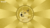 Crypto Doge GIF by eToro