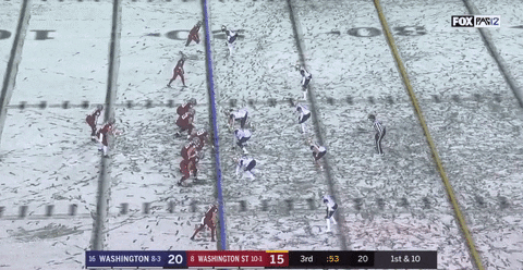 theriotreport giphyupload GIF