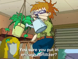 all grown up nicksplat GIF
