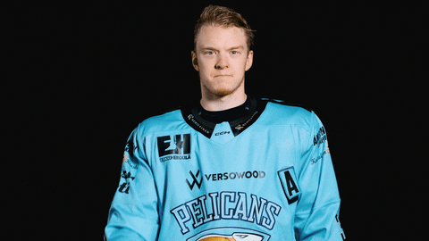 Ice Hockey Celebration GIF by Pelicans Lahti