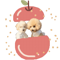 New花空 Sticker