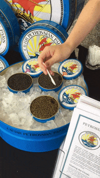 petrossian laugh yummy hungry pretty GIF