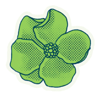 Conjuve giphyupload flor juventud joven Sticker