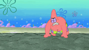 season 9 episode 3 GIF by SpongeBob SquarePants