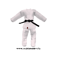 judobuddy judo judoka czech judo judo buddy Sticker