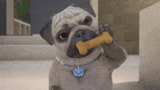 Dog Love GIF by TeamTO