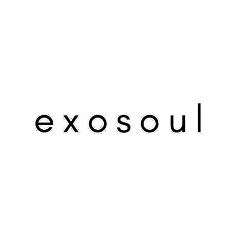 Exosoul Sticker by katscratch rekords