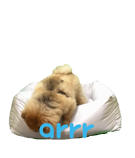 아르르 Sticker by arrr_official