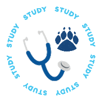 BaptistHealth study memphis baptist bchs Sticker