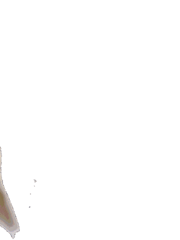 Sport Celebrate Sticker by HANDBALL PLAN DE CUQUES