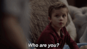 kaitlin olson GIF by The Mick