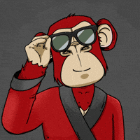 Sunglasses Hello GIF