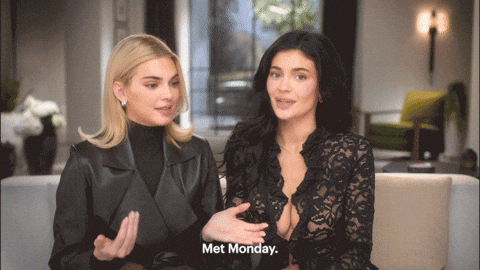 Kendall Jenner GIF by HULU