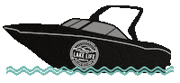 Real Estate Sticker by Lake Life Realty