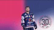 Troock GIF by Iserlohn Roosters