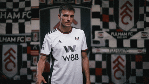 Premier League GIF by Fulham FC