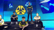 Team Esports GIF by BLAST