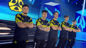 Team Esports GIF by BLAST