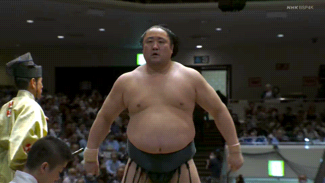 TZ85 giphyupload GIF