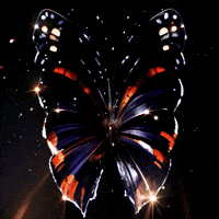 Dream Satisfy GIF by Aleksey Efremov