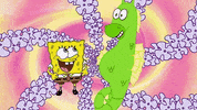GIF by SpongeBob SquarePants