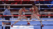 toprank fight boxing fighting espn GIF