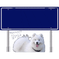 Benji Brabant Sticker